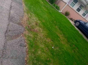 Leaf Removal by Alexis Aviles for Helen H. in Mount Prospect, IL