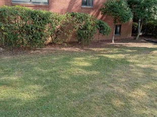 Cleanups by Andre Thompson for Larry M. in Charlotte, NC