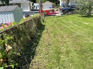 Weeding by Dominique Jacks for Trylisa W. in Kansas City, MO