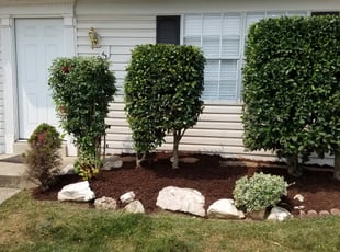 Mulching by Mark Burke for Oscar G. in Manassas, VA