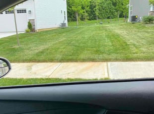 Elijah M.'s Lawn Mowing Service service result