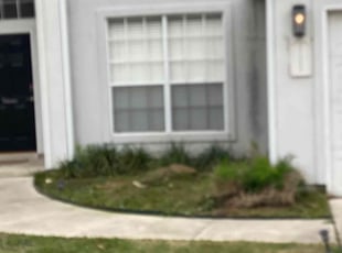 Weeding by Bradley Matthiesen for Richard R. in San Antonio, TX