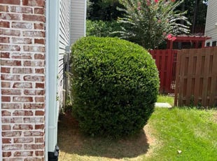 Bush Trimming by Phillip StPreuve for RAYMOND S. in Lawrenceville, GA