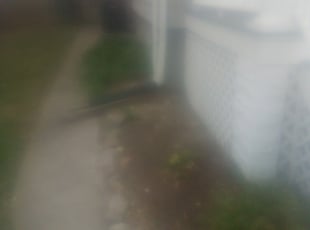Landscaping by Bernard Frampton for Joel C. in Baltimore, MD