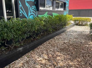 Bush Trimming by Lajayvar Negrin for Cautney N. in Miami, FL