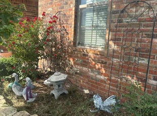 Bush Trimming by Leray Thornton for Cynthia S. in Yukon, OK
