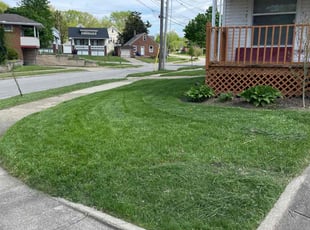 Patrick V.'s Lawn Mowing service result