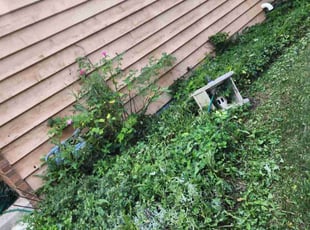 Cleanups by Brooke Ardoin for Sandra G. in Naperville, IL