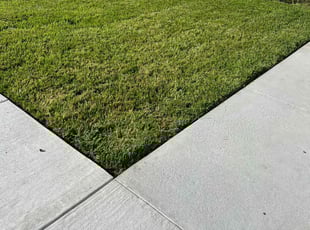 Jennifer C.'s Lawn Service service result