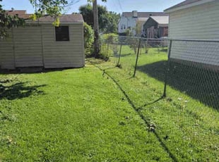 Kelly s.'s Lawn Mowing service result