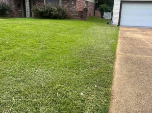 Jeremy B.'s Lawn Mowing service result