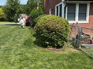 Bush Trimming by Chris Maurer for Gary W. in Reading, PA