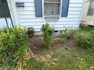Weeding by Leonard Smithers for Teresa S. in Columbus, OH