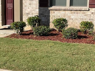 Xuan H.'s Lawn Mowing Service service result