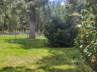 Bush Trimming by DD Lawncare for Emily G. in Spokane, WA
