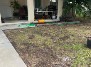 Leaf Removal by Mark Luke for Danny P. in Bradenton, FL
