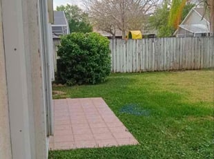 Cleanups by Jamual McQueen for Tatiana G. in Tampa, FL
