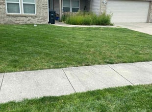 Stacey K.'s Lawn Mowing Service service result