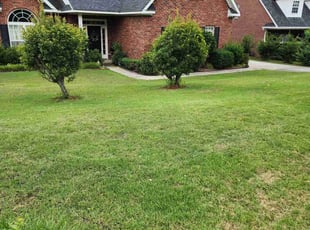 Letitia C.'s Lawn Mowing service result