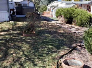 Leaf Removal by Roger Jimenez for Pat B. in Colorado Springs, CO