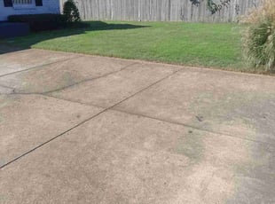 Amiri H.'s Lawn Mowing service result