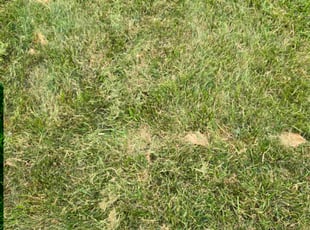 Cleanups by Mark SNODGRASS for Kimberly G. in Indianapolis, IN
