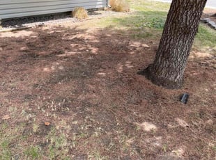 Cleanups by Scott Ellis for Marian E. in Boise, ID