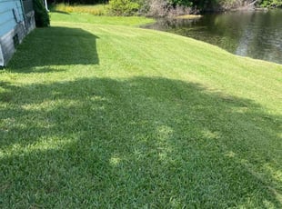 Aurelia C.'s Lawn Mowing Service service result