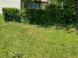 Landscaping by Jamil Hafeeza for Lateefah S. in Willingboro, NJ