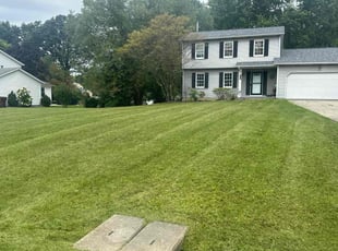 Michael K.'s Lawn Mowing service result
