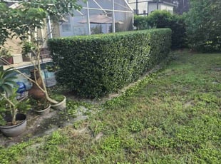 Bush Trimming by Jon Mccormick for Bill L. in DeBary, FL