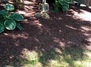 Weeding by Roland Quidachay for Susan H. in Tacoma, WA