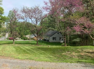 Don S.'s Grass Cutting service result