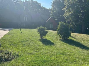 Brian R.'s Lawn Maintenance service result