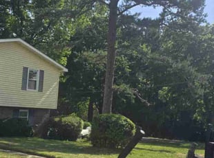 Bush Trimming by Douglas McClelland for Susan F. in Center Point, AL