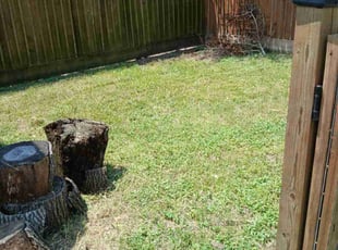 Cleanups by Ryan Cooper for Ruadhri K. in Houston, TX