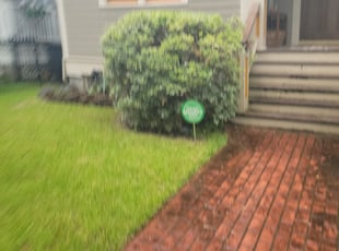 Bush Trimming by Rolando Callejas for Allison S. in Houston, TX