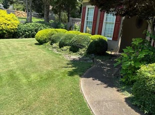 Bush Trimming by Anthony Velasquez for Cameron M. in Cumming, GA