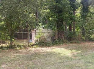 Bush Trimming by Ashley McCarty for Reid K. in Memphis, TN
