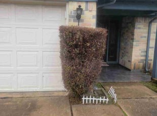 Bush Trimming by Hugo Melgar for Robert F. in Sugar Land, TX