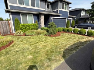 Mulching by Alex Brost for Sunith V. in Des Moines, WA
