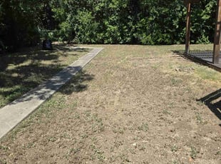 Cleanups by Duilio Leonardo Cadena Gonzalez for Kendall P. in San Antonio, TX