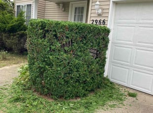 Bush Trimming by Valentin Velasco for Suong V. in Kentwood, MI