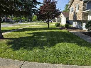 Tarik S.'s Lawn Care service result