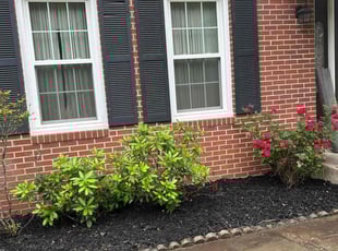 Mulching by Edwin Villagran for Ebru R. in Silver Spring, MD