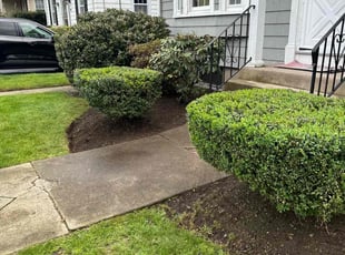 Cleanups by Steve Valverde for Jason D. in East Providence, RI