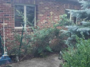 Bush Trimming by Jamil Hafeeza for Meredith S. in Hainesport, NJ