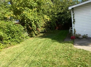 Bush Trimming by Sebastain Cavasos for Oluwakemi A. in Warren, MI