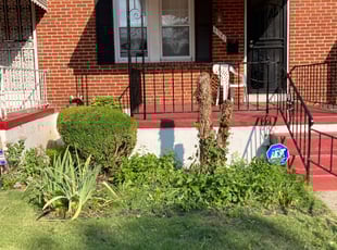 Bush Trimming by Samuel Jordon for Rosa M. in Baltimore, MD