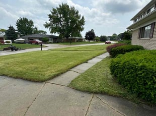 Steve J.'s Grass Cutting service result